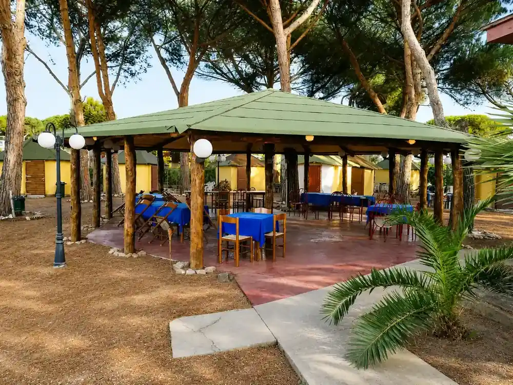 Gazebo esterno coperto per i pasti sotto i pini